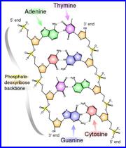 tIME chunklen 7 ignored:ASCII: .�...(.HEX: 07D8091409281C