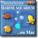Marine Aquarium